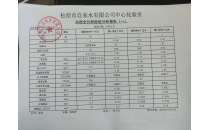 水質全分析檢驗分析報告